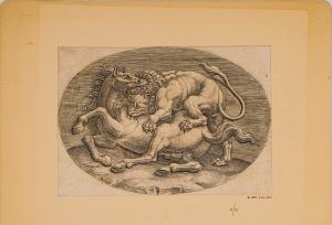 Lotta tra Leone e Cavallo Lotta tra Leone e Cavallo