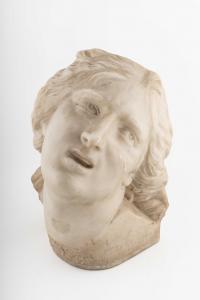 Testa di Proserpina, da Gian Lorenzo Bernini Testa di Proserpina, da Gian Lorenzo Bernini