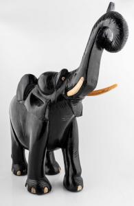 Elefante con la proboscide alzata