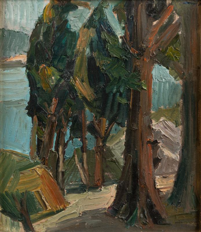Alberi a Vietri Alberi a Vietri
