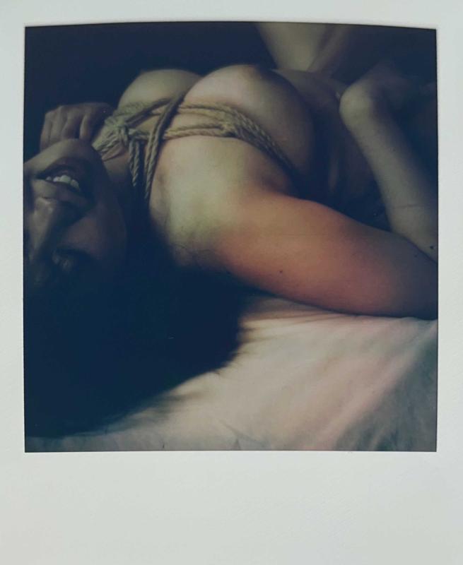 Nobuyoshi Araki, Polaroid