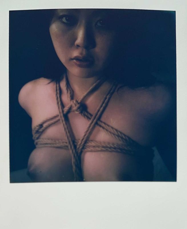 Nobuyoshi Araki, Polaroid