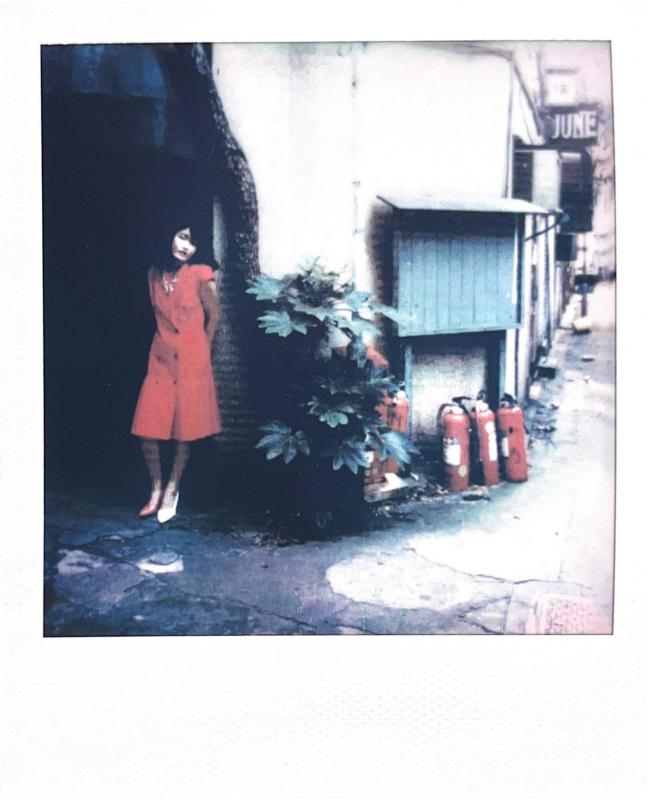 Nobuyoshi Araki, Polaroid