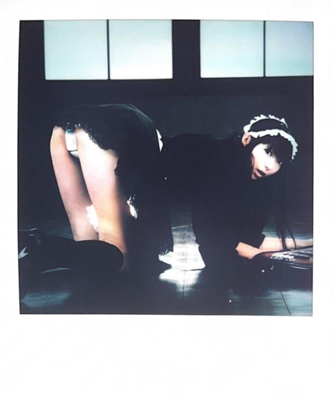 Nobuyoshi Araki, Polaroid