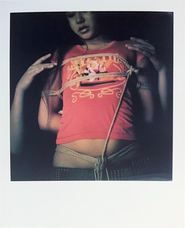 Nobuyoshi Araki, Polaroid