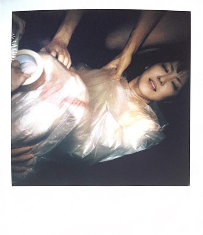 Nobuyoshi Araki, Polaroid