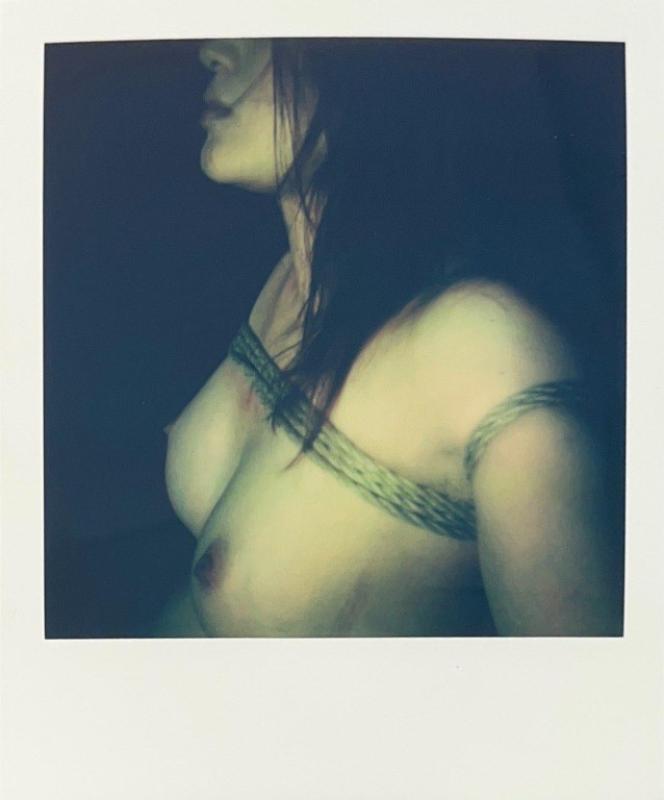 Nobuyoshi Araki, Polaroid Nobuyoshi Araki, Polaroid