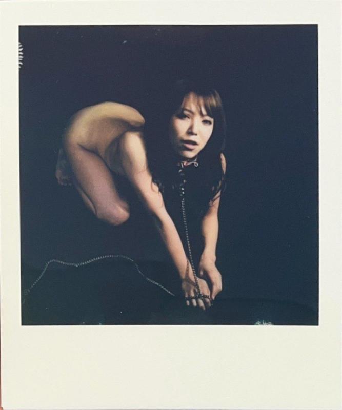 Nobuyoshi Araki, Polaroid