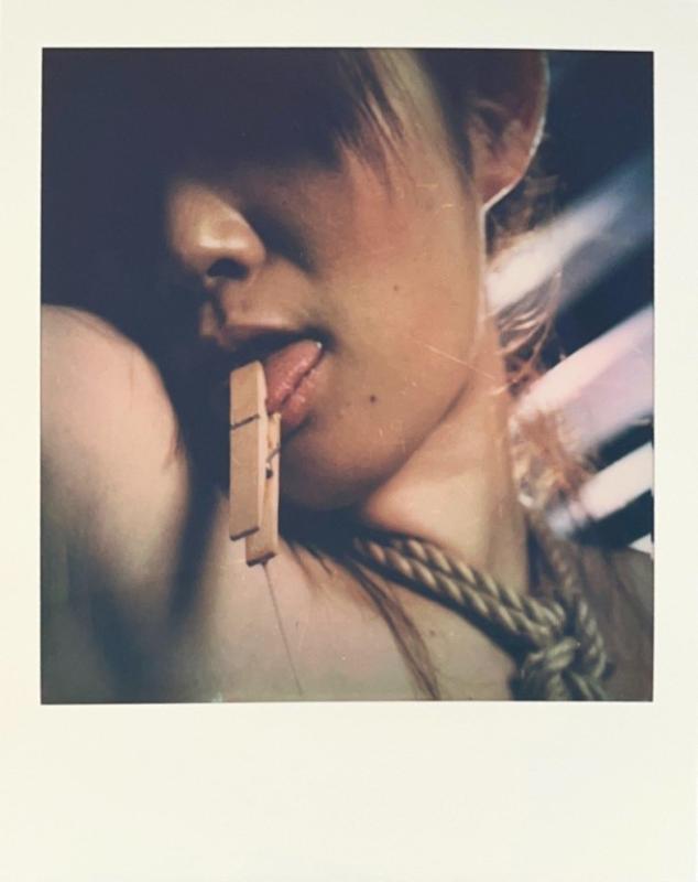 Nobuyoshi Araki, Polaroid Nobuyoshi Araki, Polaroid