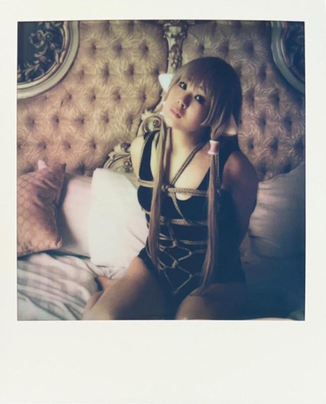 Nobuyoshi Araki, Polaroid