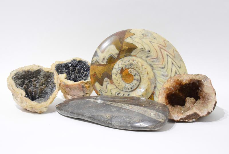 Due fossili e due geodi Due fossili e due geodi