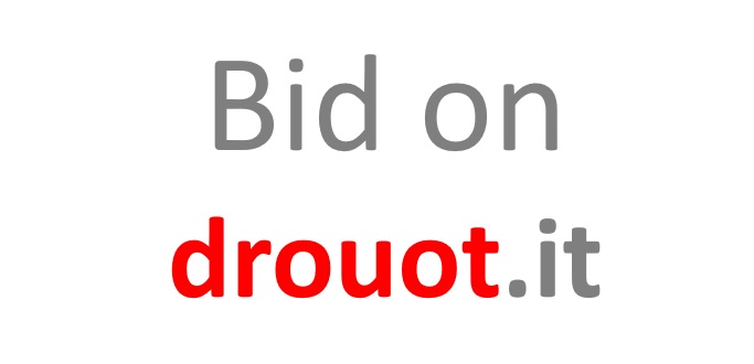 Bid on Drouot.it